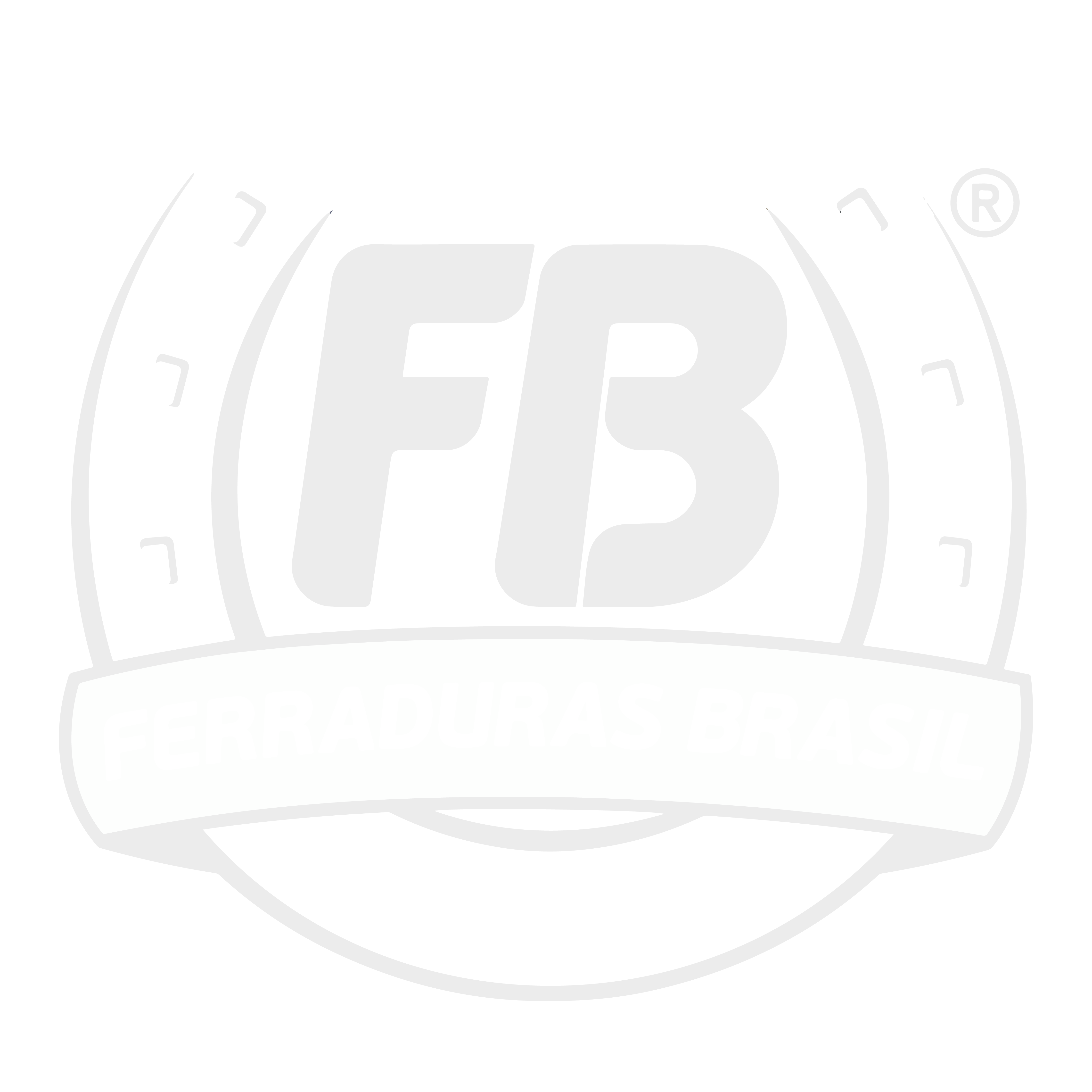 Ferraduras Brasil