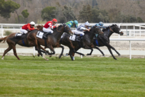 Horse race final rush. Competition sport. Hippodrome. Winner. Speed background